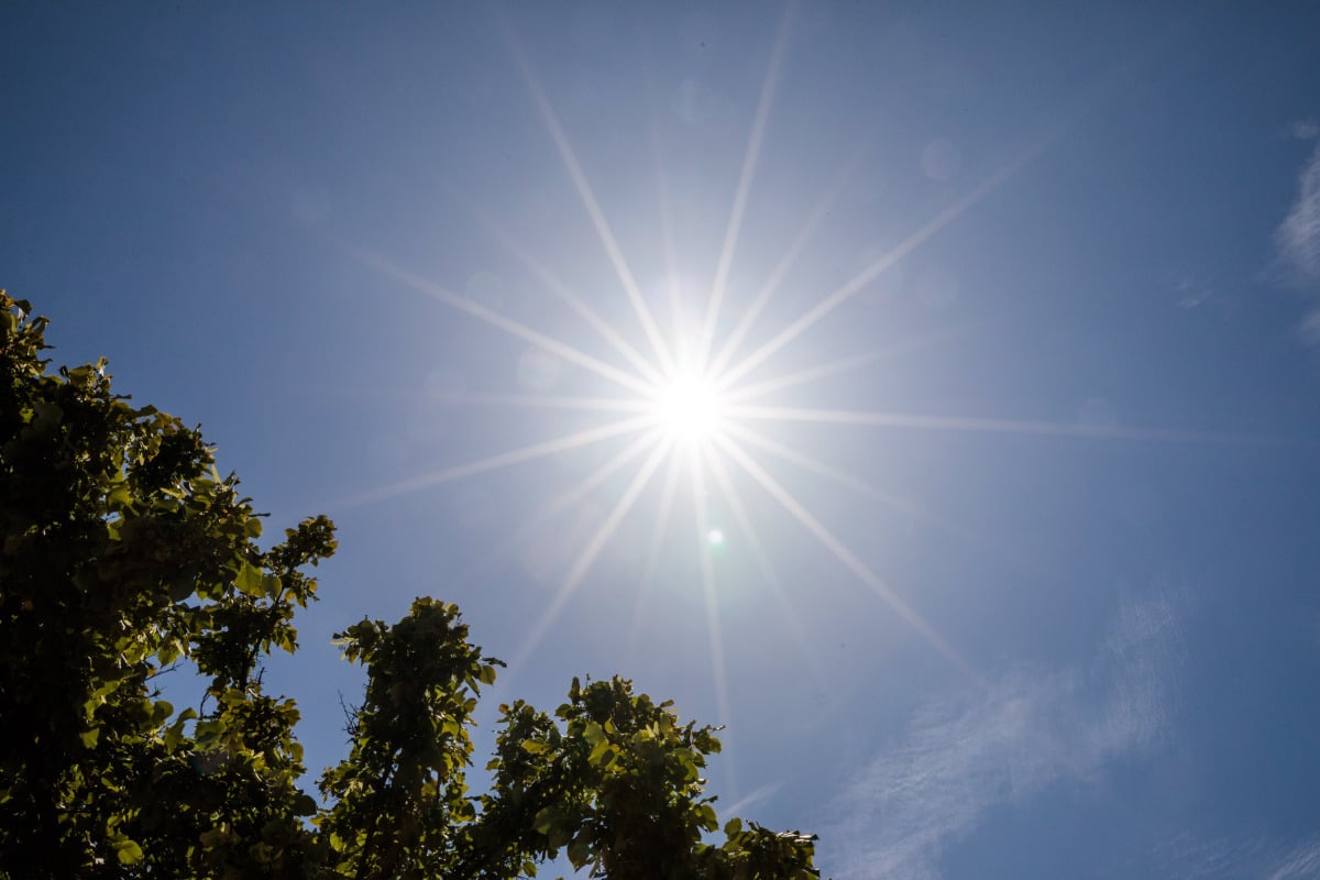  CANICULE....et prévention des risques professionnels: point de situation.
